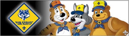 cubscoutbanner